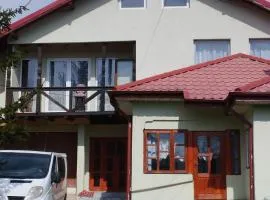 Punct Gastronomic Local Acasa la Vero