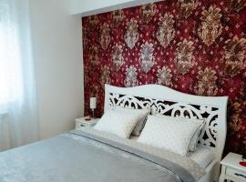 Carla's Apart Palas-Hala Centrala 1 Bedroom, airport shuttle，位于雅西Our Lady Queen of Iași Cathedral附近的酒店
