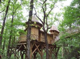 Châteaux dans les Arbres，位于Clottes的山林小屋