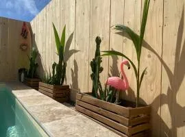 Mas des Oliviers, maison avec piscine privative et chauffée LOCAMARGUE