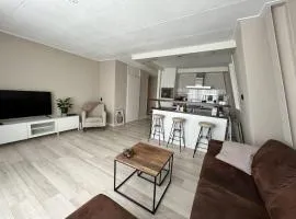New modern apartment (55m2) in the city center