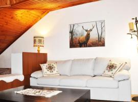 Cozy Loft with Fireplace & View，位于美特索文的度假短租房