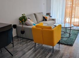 Zinas modern flat Nicosia，位于Strovolos斯洛沃罗斯市政厅附近的酒店