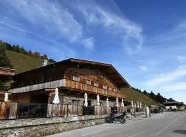 Chalet in Zillertal near Hochzillertal Ski Area