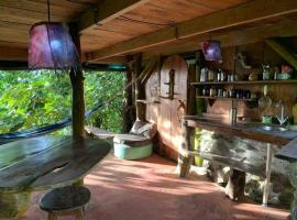 Ocean View rustic cabin in the jungle by the surf，位于帕沃内斯的酒店