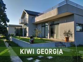 Kiwi Georgia，位于科布列季的别墅