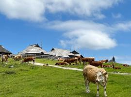 Chalet Korosica Velika Planina，位于Stahovica的酒店