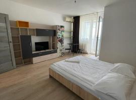 Bega Cirumvalatiunii One Room Apartment- 4，位于蒂米什瓦拉的度假短租房