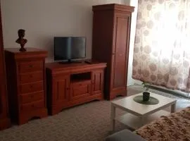 Apartament încântător,situat în centrul oraşului