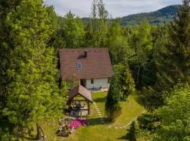 Holiday home in Delnice - Gorski Kotar 43959