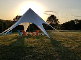 Camping La Petite Houmée，位于Curzay-sur-Vonne福尔热城堡高尔夫球场附近的酒店