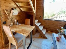 Mountain Eco Shelter 7，位于丰沙尔的酒店