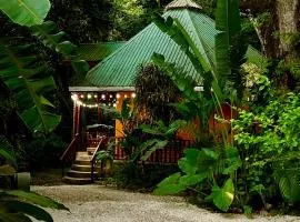 Pochote Jungle House