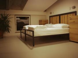 GARAGE HOSTEL，位于新戈里察的酒店