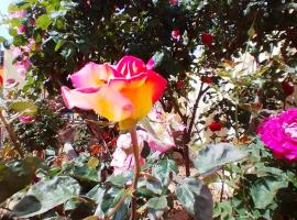 Las/Rosas，位于Orgaz的酒店