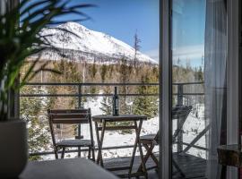 Apartman pod Gerlachom s wellness，位于Vysoke Tatry - Horny Smokovec的公寓