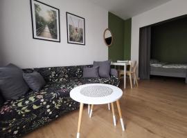 Apartament Skałka，位于希维托赫洛维采的公寓