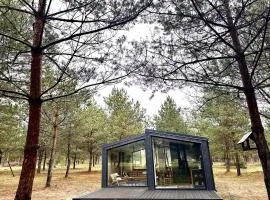 100 Drzew - Leśny Klimat Mazur