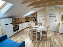 apartament Nad Zalewem SWIM SPA