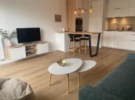 Appartement bayonne ellaia