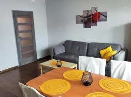 Apartament Arena