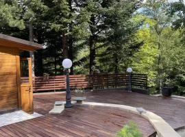 Chalet Leonard House in the wood