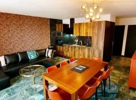 CENTRE 10mn Pied pistes et JANDRI 3S VUE MUZELLE 8 pers Wifi