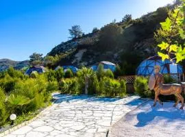Amazing Cyprus Glamping Domes - Glamping Cyprus