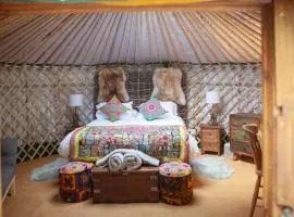 HAYNE BARN ESTATE - 2 Luxury heated Yurts - private hot tub- private bathroom and kitchen