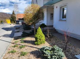 Apartma Nika，位于Planina的酒店