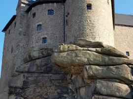 Burg Falkenberg in der Oberpfalz，位于Falkenberg的酒店