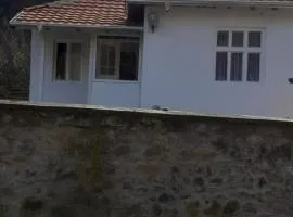 BELA VILA MIJALKOV