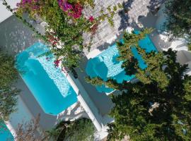 Thalassitra Private Pool Suites，位于阿达玛斯的酒店