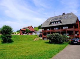 B und B Titisee Hotel Sonnenmatte nahe Badeparadies，位于Titisee的酒店