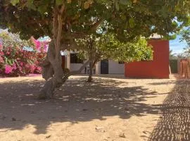 Petite maison en bord de mer