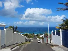 Magnifique appartement une chambre vue sur mer