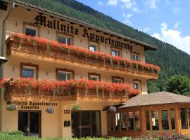Hotel Mallnitz，位于马尔尼茨的公寓