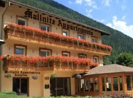 Hotel Mallnitz