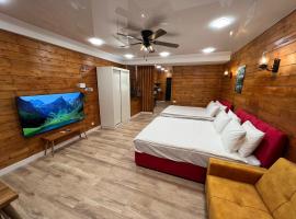 Politkovskaia Apartment Tbilisi，位于Agaraki的酒店