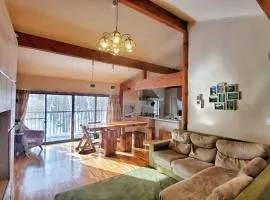 『一軒丸々貸切』徒歩5分圏内カフェ 自然を満喫 Modern Ski Chalet +WiFi & 5min walk to cafes.