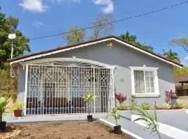 The West Village Summer House - Montego Bay