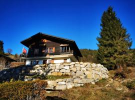 Ferienwohnung im Chalet am Bach，位于施瓦尔茨湖的酒店