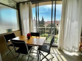 Le Mimosa 1 bedroom apartment with terrasse pool AC parking spot