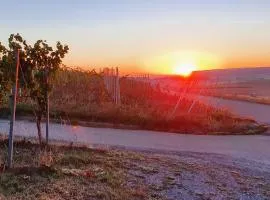 Weingut Will und Würz Lemberger