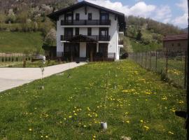 Pensiunea ACASA LA VLADUȚ，位于博尔沙的酒店