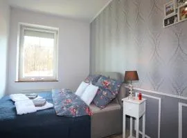 Apartament Winston