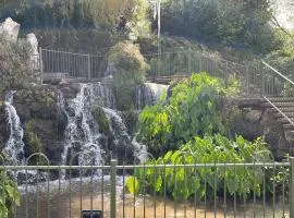צימר יערת הדבש
