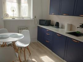 Apartament centrum Szczytno Mazury，位于什奇特诺的酒店