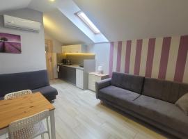 Wrzosowe Wzgórze Apartamenty，位于亨齐内的酒店