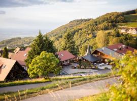 Hotel Spinnerhof，位于萨巴赫瓦登的酒店